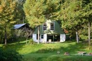 Au Sous-bois D'ulverton - Ulverton